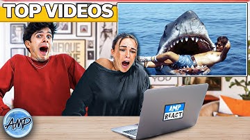 Amp World REACTS To Most Viral Videos! | Amp World