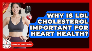 Why Is LDL Cholesterol Important for Heart Health? - Cholesterol Support Network