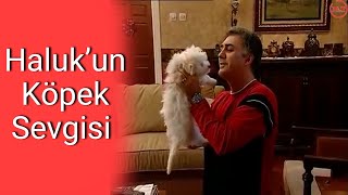 Halukun Köpek Sevgisi Çocuklar Duymasın 2.Sezon 30.Bölüm