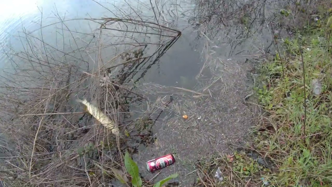 Yayına Niyet Turnaya Kısmet 4