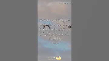 تلاوة من سورة النساء في صلاة العشاء
