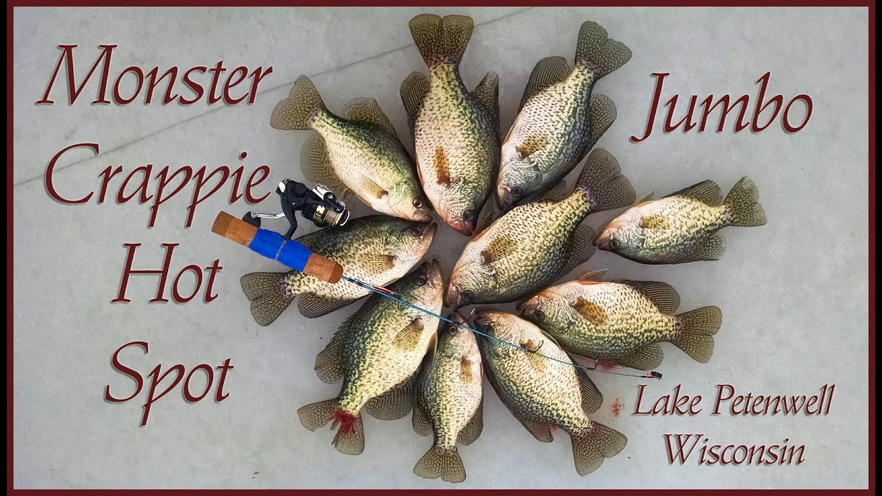 Monster Crappies under the Ice Fishing Lake Petenwell Wisconsin 
