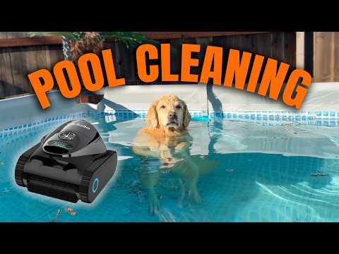 cleaning my dog's pool with the Talosbo C1