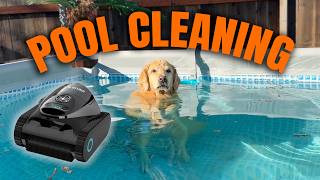 Cleaning My Dogs Pool With The Talosbo C1