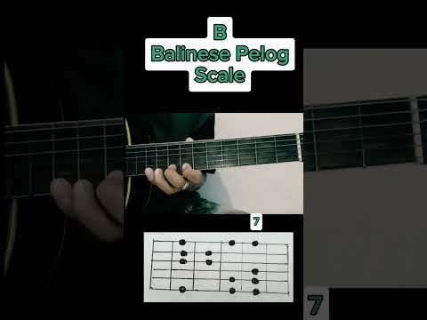 B Balinese Pelog Scale Guitar#shortsfeed#shortvideo