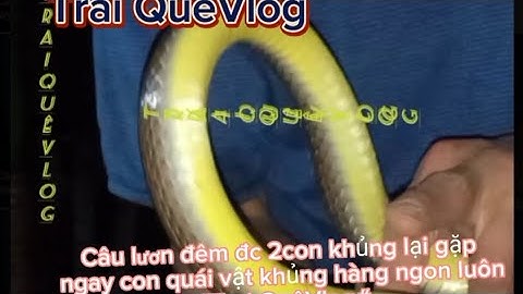 Hôm nay đi câu lươn đêm được 2con lươn khủng lại còn gặp 1em na hàng khủng mà run ✋ mới bắt được