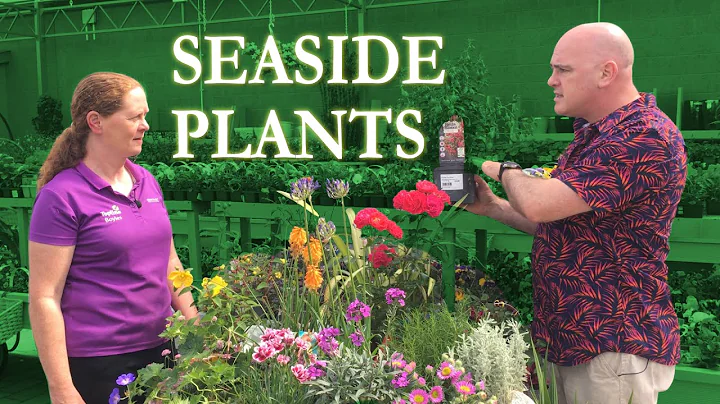 Plants for the Seaside and Coastal Areas - The Kerry Garden Show - DayDayNews