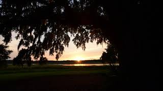Brays Island Escape