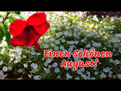 Willkommen August😊 Wünsche Dir einen schönen August und einen tollen Tag🌞🍀🐦 August Grüße für Dich💕💌