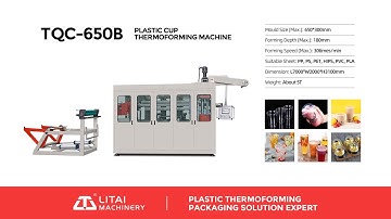 TQC-650B Full-automatic Plastic Disposable Cup Takeaway Lunch Boxes Thermoforming Making Machine