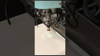 色留袖に抜き紋入れ五つ、紋名は木瓜（もっこう）