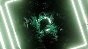 30 Seconds Relaxing Palm Tree Loop Video 🌴 | Tropical Vibes for Calm & Focus