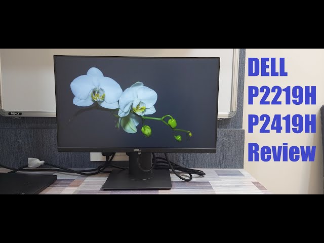 Dell 24 Monitor (P2419H) Review