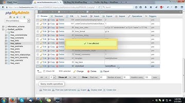 Changing WordPress theme from your database