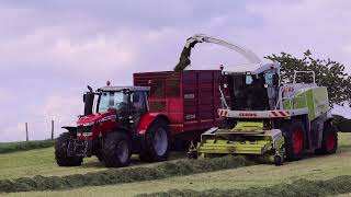 Silage '22. Claas Jaguar 830, with three trailers in support.