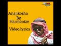 Harmonize - Anajikosha (Lyrics Video)