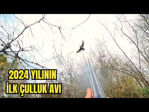 Çulluk Avı - Namlu Fişek Seçimi - Av Tüfekleri -  Woodcock Hunting