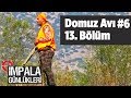 Domuz Avı 6 impala Günlükleri 13. Bölüm Yaban Tv wild boar hunting