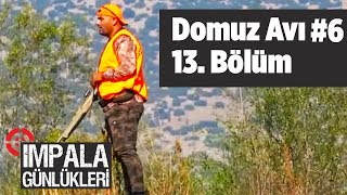 Domuz Avı 6 impala Günlükleri 13. Bölüm Yaban Tv wild boar hunting