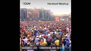 Who Remember this Hardwell Mashup? #edm #festival #foryou #hardwell #tommorowland #shorts #trending
