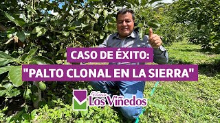 CASO DE ÉXITO: PALTO CLONAL EN LA SIERRA