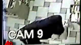 Mich. Police Catch 'World's Dumbest Criminal'
