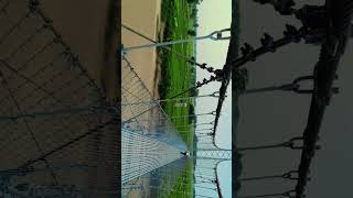 Kapilvastu Banganga & Mahasaiya River