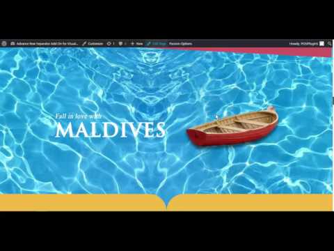 Back End Demo - How to Use - Advance Row Separator Add On for Visual Composer