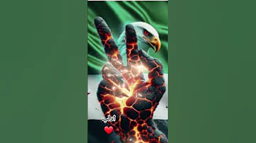 ١ سبتمبر ٢٠٢٥ 