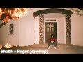 Sped Up Ruger Shubh 