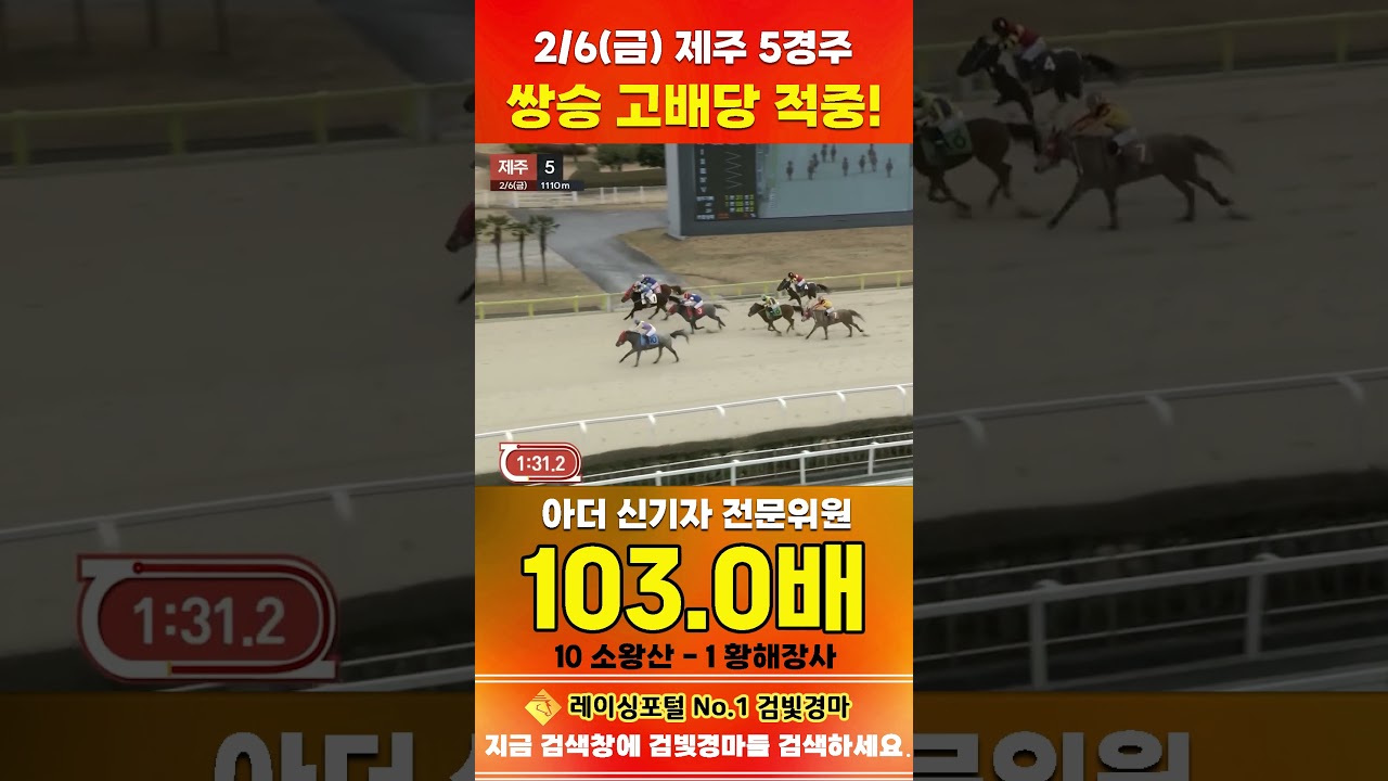[제주 경마] 2월 6일 금요 5경주 아더 신기자 전문위원 쌍승 고배당 적중 #경마 #horse #한국마사회 #automobile #하이라이트 #비트코인 #게임 #korean