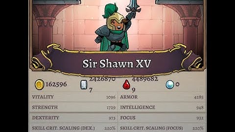 Rogue Legacy 2 NG+120(Cheats)