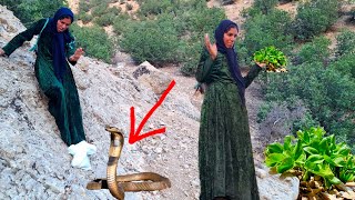 Homeless mother finds legendary healing herbs in magical mountains!