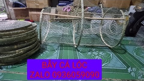 Bán bẫy cá lóc, bán lợp cá lóc, bán bẫy cá đa năng. Zalo 0936059090 ship toàn quốc.