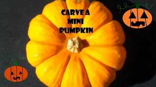 Carving a Mini Pumpkin
