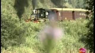 Vídeo Show Sinhá Moça 25 Anos