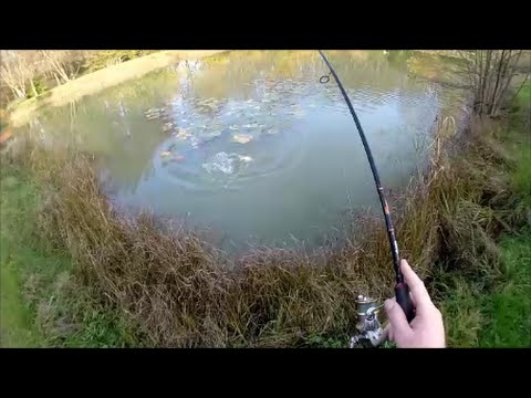 peche de carnassier peche de carnassier