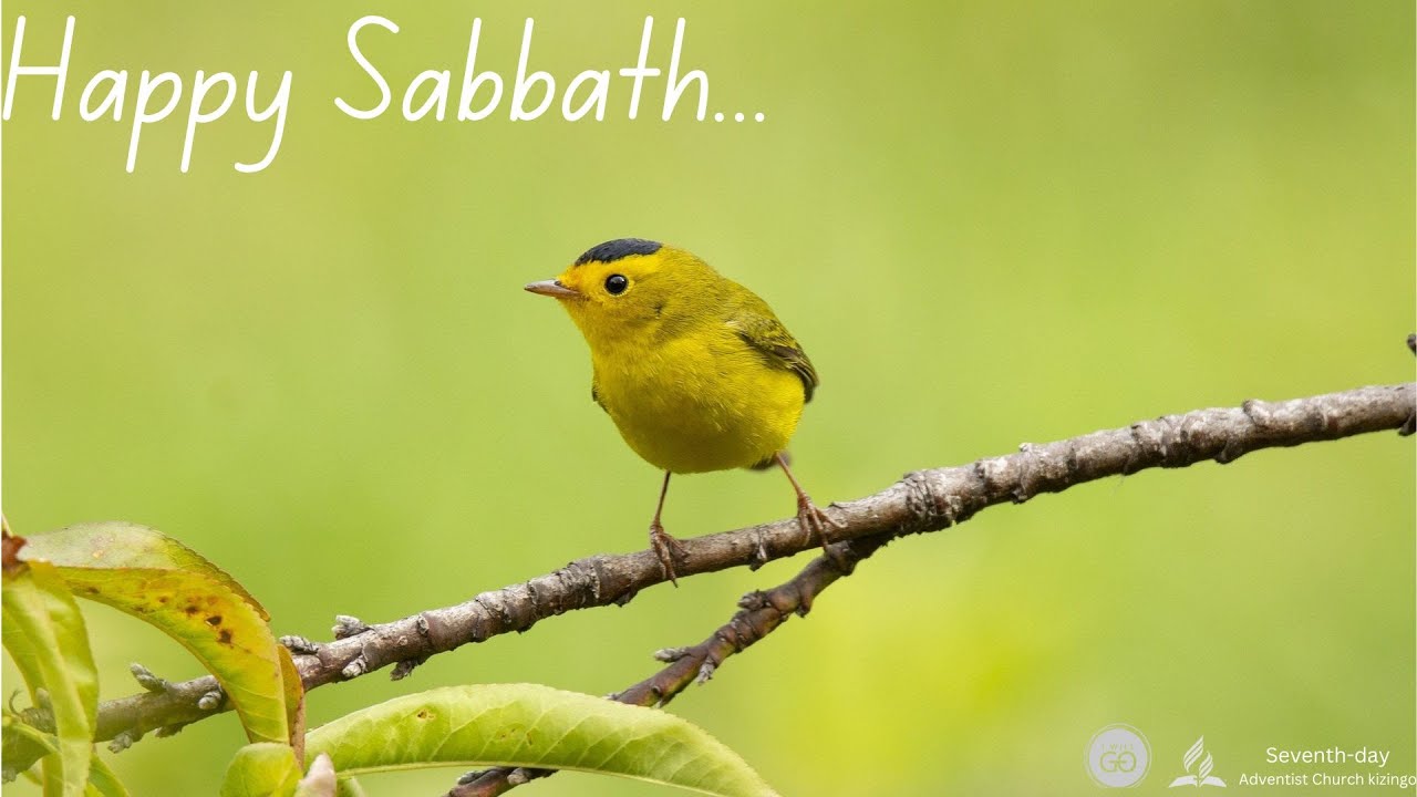 Morning Sabbath worship || Jan 4, 2025-I HAVE HAD ENOUGH LORD.-1st ...