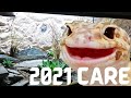 Full Leopard Gecko Care 2021