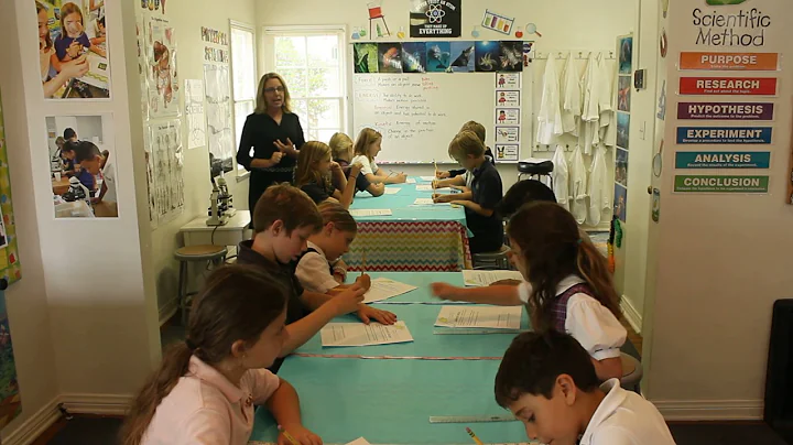 Jumping Frogs-A lesson in force, energy, and motio...