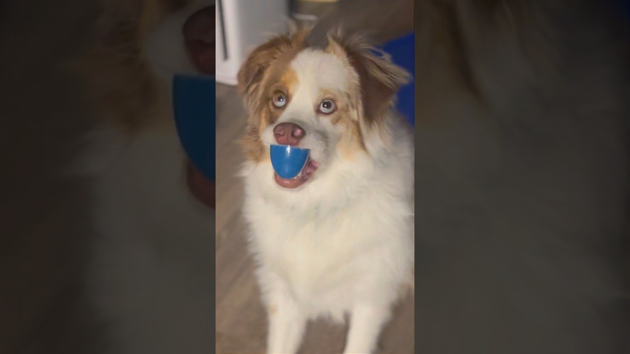 it's the scattered run at the end for me😂 