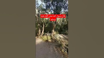 قال رسول الله صلى الله عليه وسلم                #القرآن_الكريم #تلاوة_خاشعة #عبدالباسط_عبدالصمد