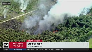 Grass fire burning along Turnpike in SW Miami-Dade Resimi