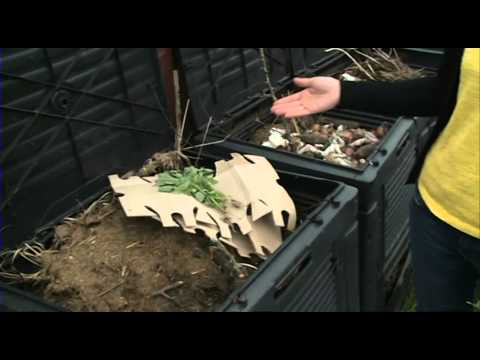 Video: Ką kompostuoti: ką galite sudėti į komposto dėžę