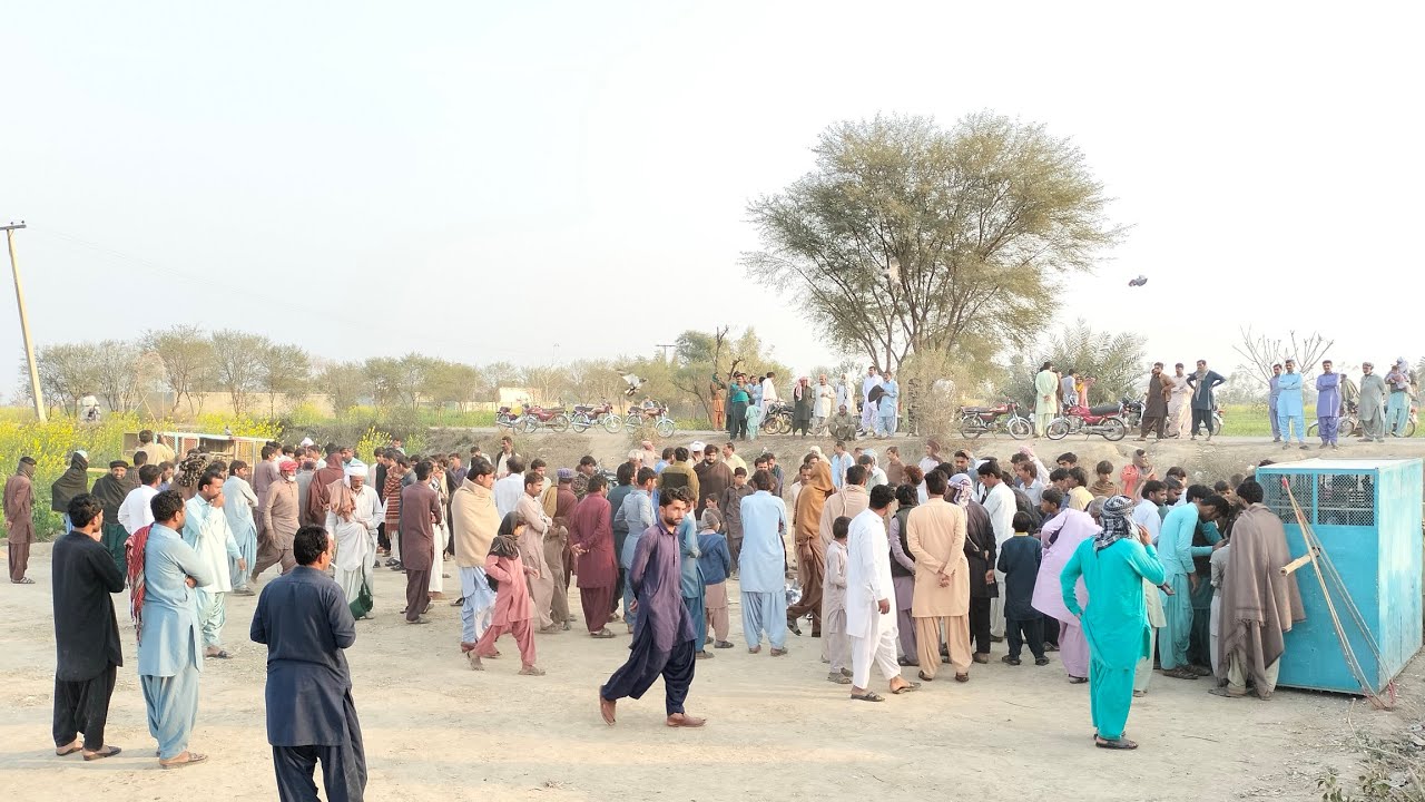 BiG Rush 130 PiGeons Pakre liye Final Round Bhat Bara Maidan Bna Gaya