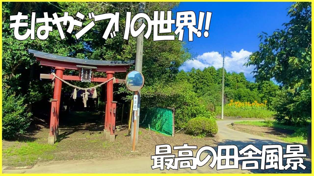 エモ過ぎる夏の田舎の風景 谷津田 神社 Asmr 田舎風景 田舎探検 Youtube