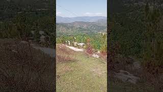 Surah Al-Fatiha Gentle Tilawat | Soft &amp; Peaceful Quran Recitation #tilawat #nature