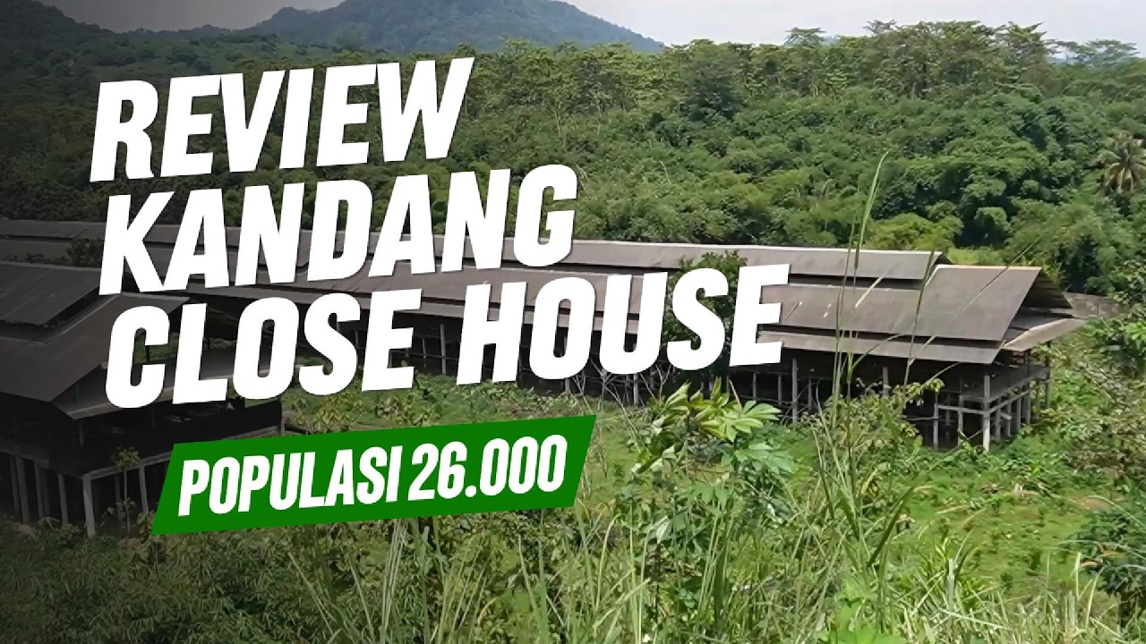 Review Kandang Close House Kapasitas 26.000 Ayam