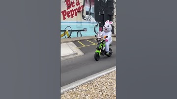 Thumbnail of Here Comes Peter Cottontail!