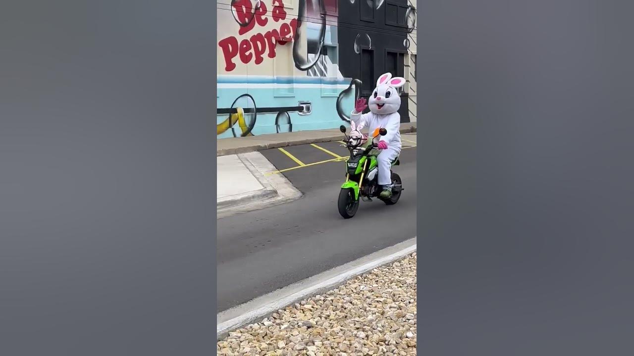 Here Comes Peter Cottontail!